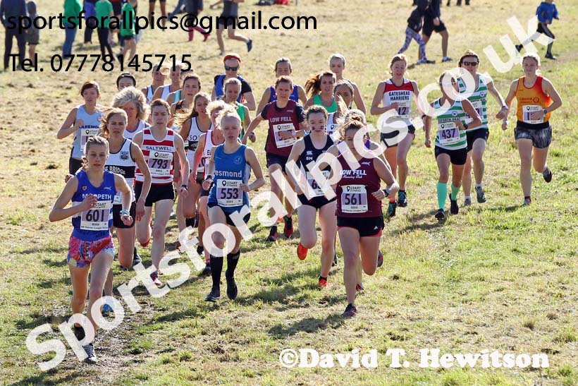 Senior womens 2019 Start Fitness Harrier League, Wrekenton, Gateshead. Photo: David T. Hewitson/Sports for All Pics